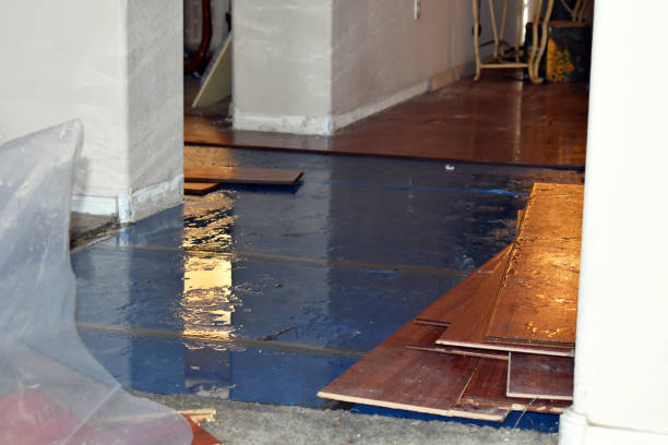 Professional Burst Pipe Cleanup technician working in Kellogg, MN